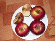 Pokusy a pozorování